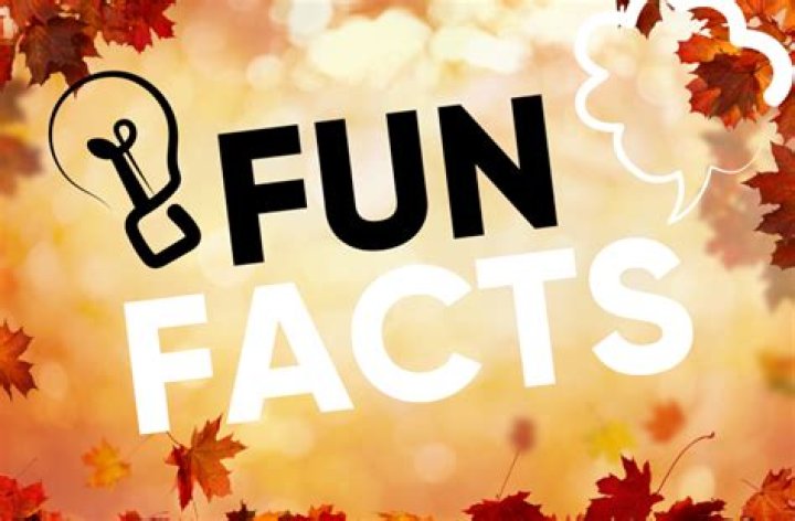 4 Facts about Fall
