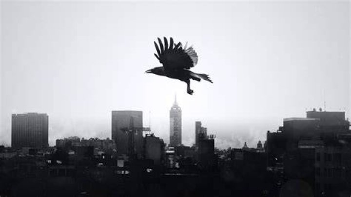 Amazing Raven In City With Lettering Tattoo For Guys On Sleeves
