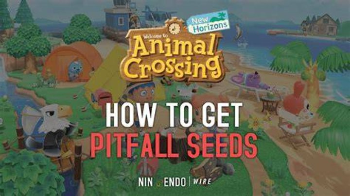 Animal Crossing New Horizons Pitfall Seeds