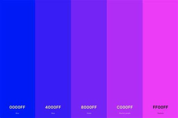 Blue And Magenta: In Blue's Clues & You