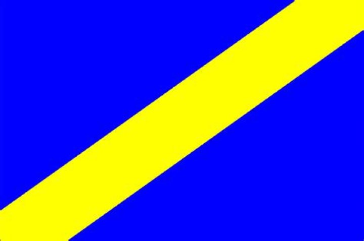 Blue Flag (with yellow diagonal stripe) Wiki Fandom