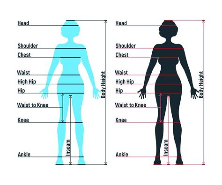 Body Measurements