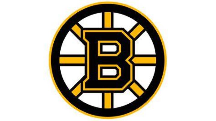 Boston Bruins's Right Winger David Pastrnak.