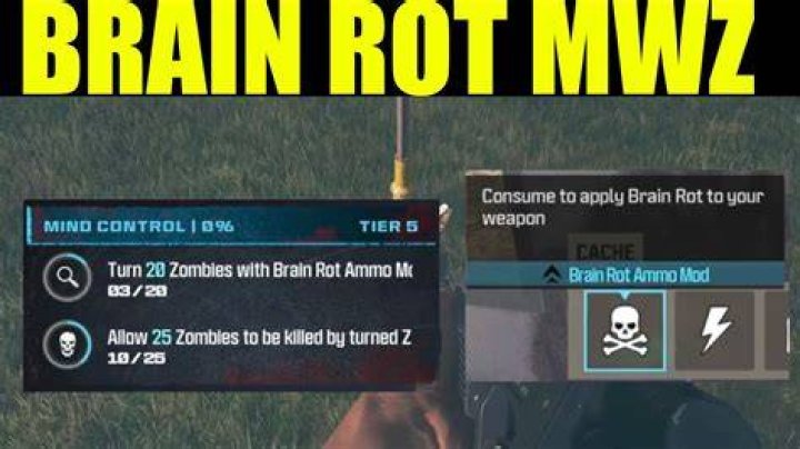 Brain Riot Ammo Mod MWZ