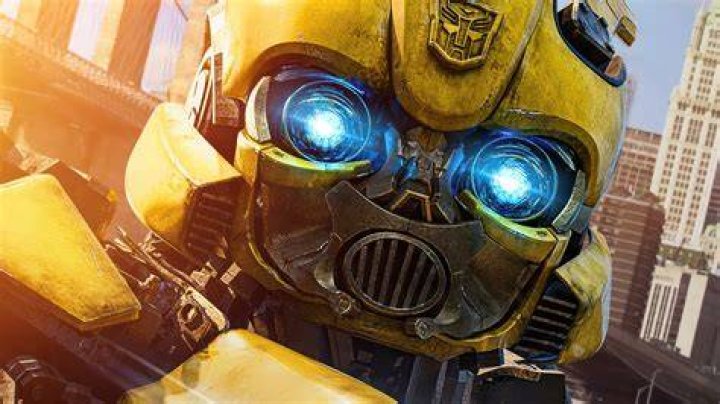 Bumblebee Transformers
