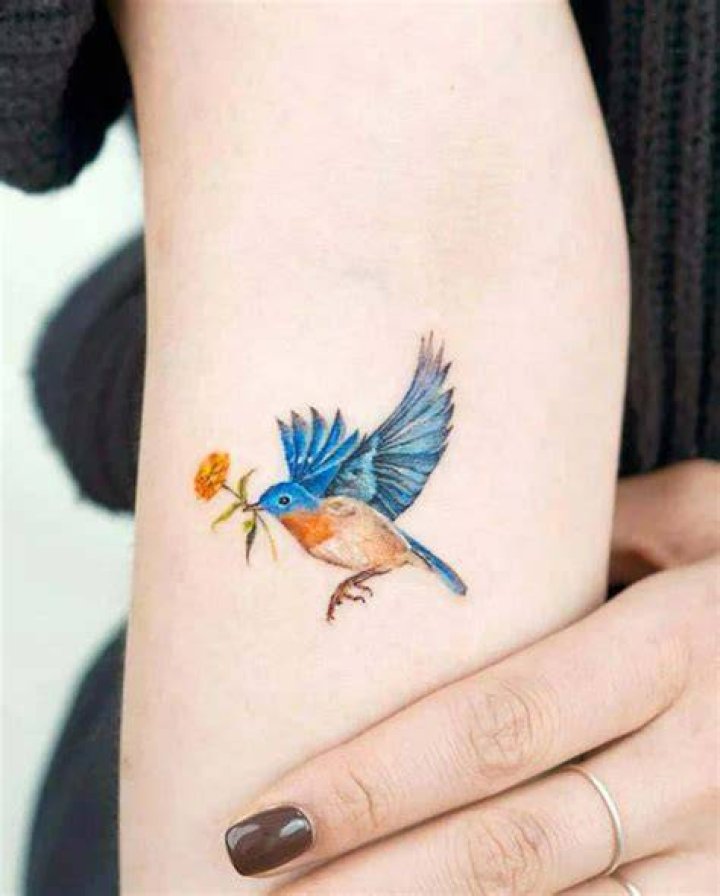 Colored Small Bird Tattoos Rafatat2 M4l