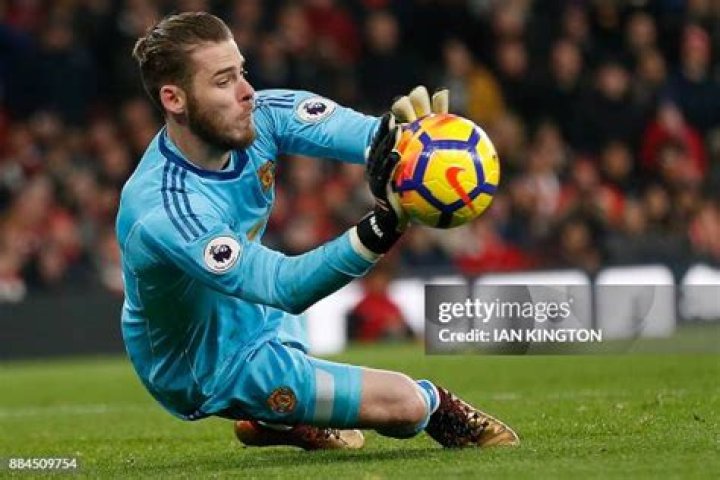 De Gea's selection was fascinating in itself (Source: Goal .com)