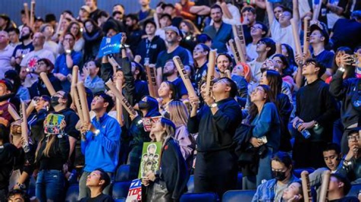 Esports Fans