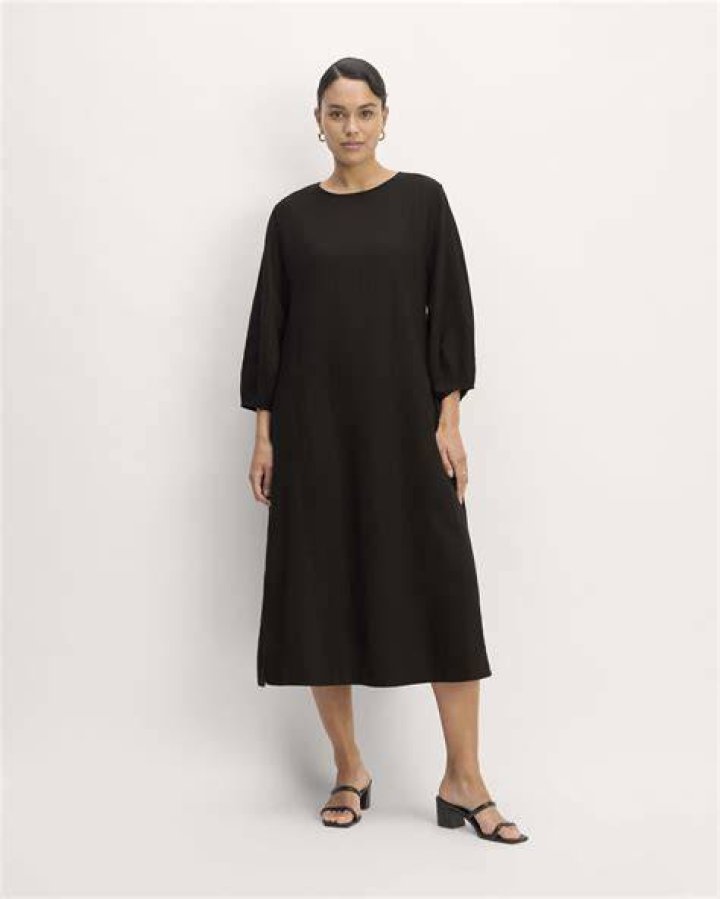 Everlane Linen Oversized Puff-sleeve Dress