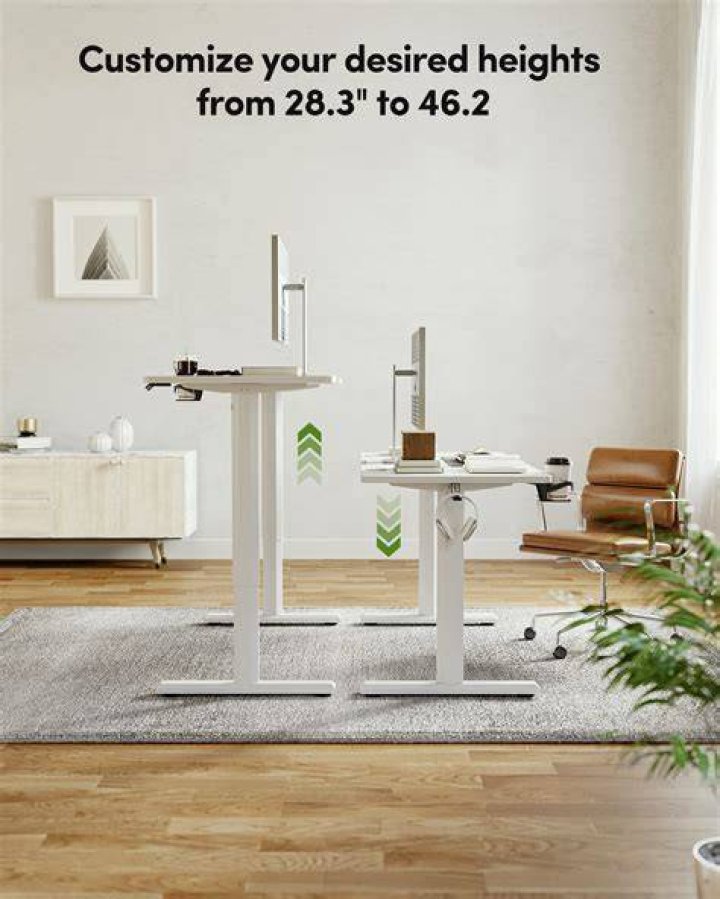 Fezibo Height Adjustable Electric Standing Desk