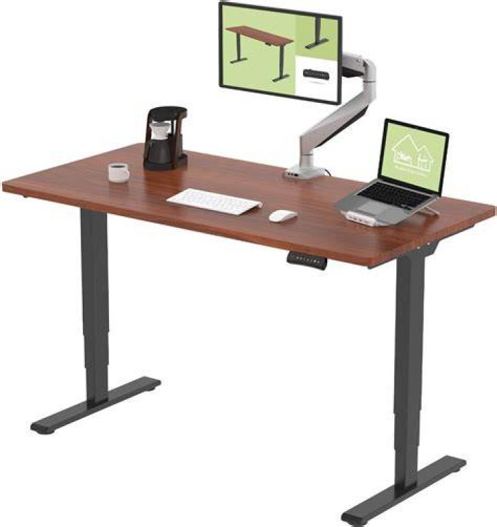 Flexispot Electric Adjustable Height Standing Desk