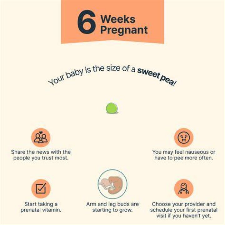 For six whole weeks
