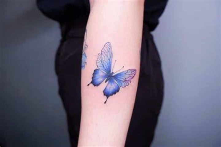 Forearm Blue Butterfly Tattoos tattooistxael