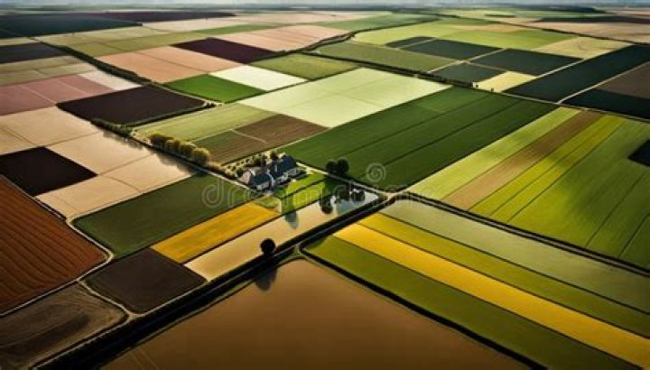 Forgotten Fields Birds Eye view screenshot