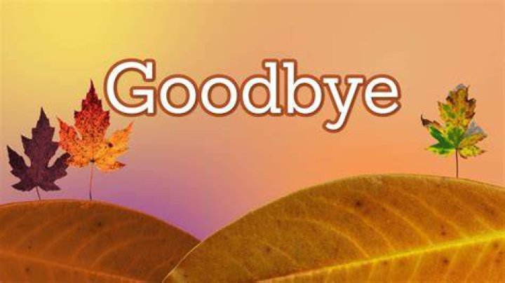 Goodbye video click from Shyko Ames
