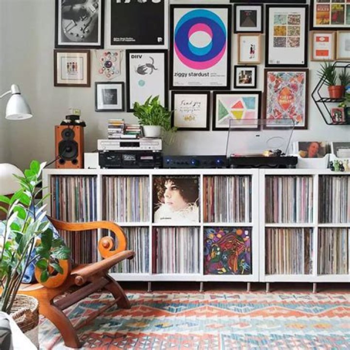 How To Display Vinyl Records