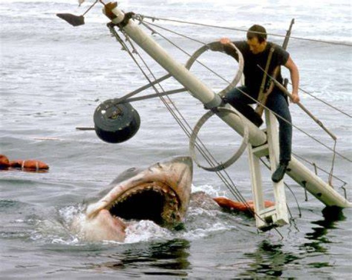 Is Jaws Based On A True Story?