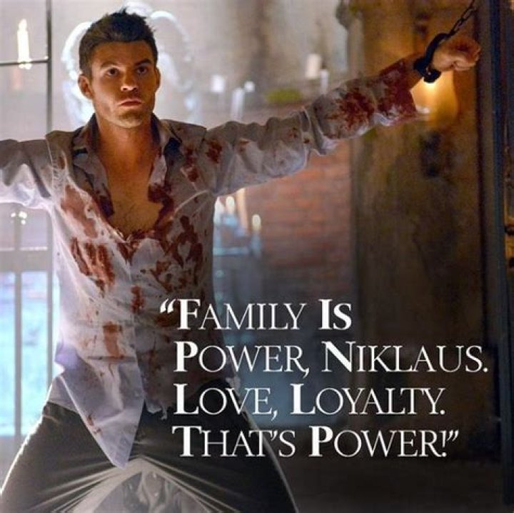“Family is power, Niklaus. Love, loyalty; that's power. This is what we swore to one another a thousand years ago… This is us. The Original family, and we remain together, always and forever."