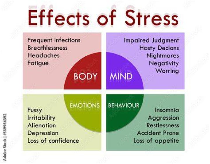 Learn about stress and memory with UnityPoint