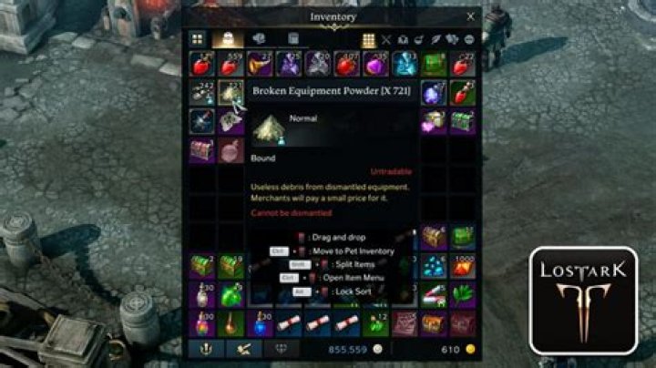 Lost Ark: What to Do With Tournament Champions Plate