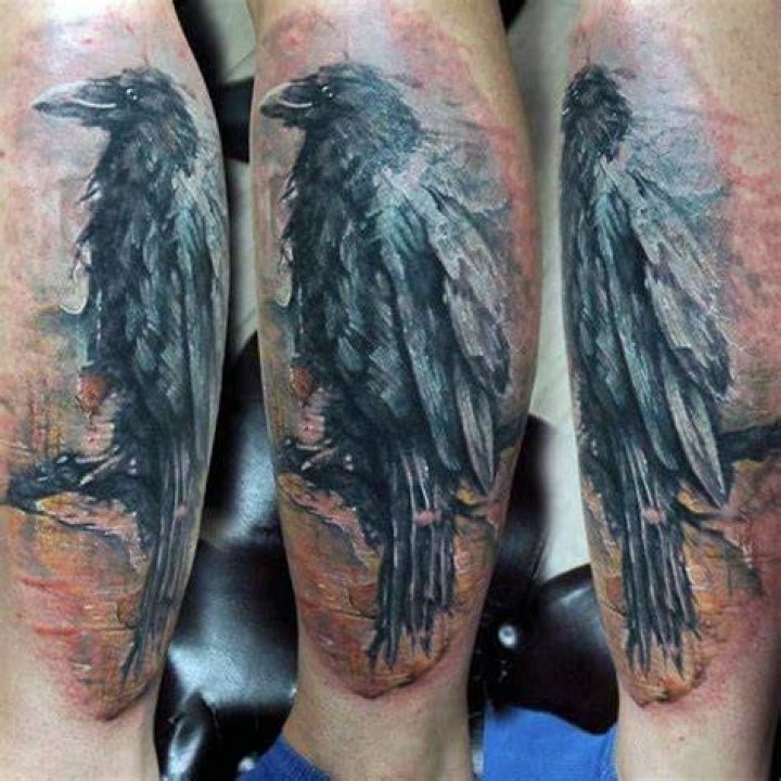 Male Lower Legs Greay Raven Tattoo