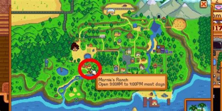 marnies ranch