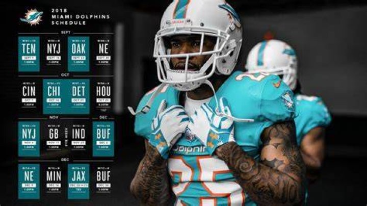 Miami Dolphins, 2018