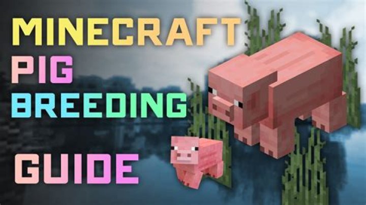 Minecraft How to Breed Pigs