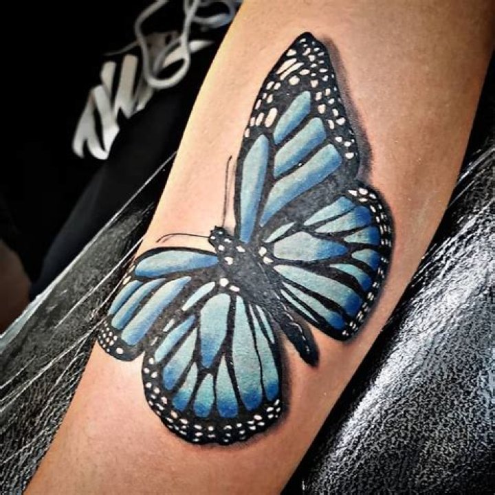 Monarch Blue Butterfly Tattoos mat_tattoo