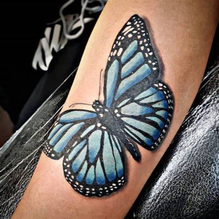Monarch Blue Butterfly Tattoos melbootstattoo