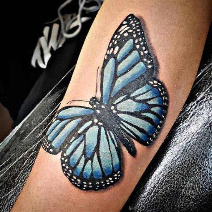 Monarch Blue Butterfly Tattoos rudy_tattoos_