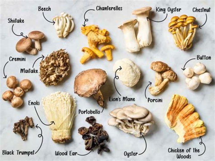 mushrooms