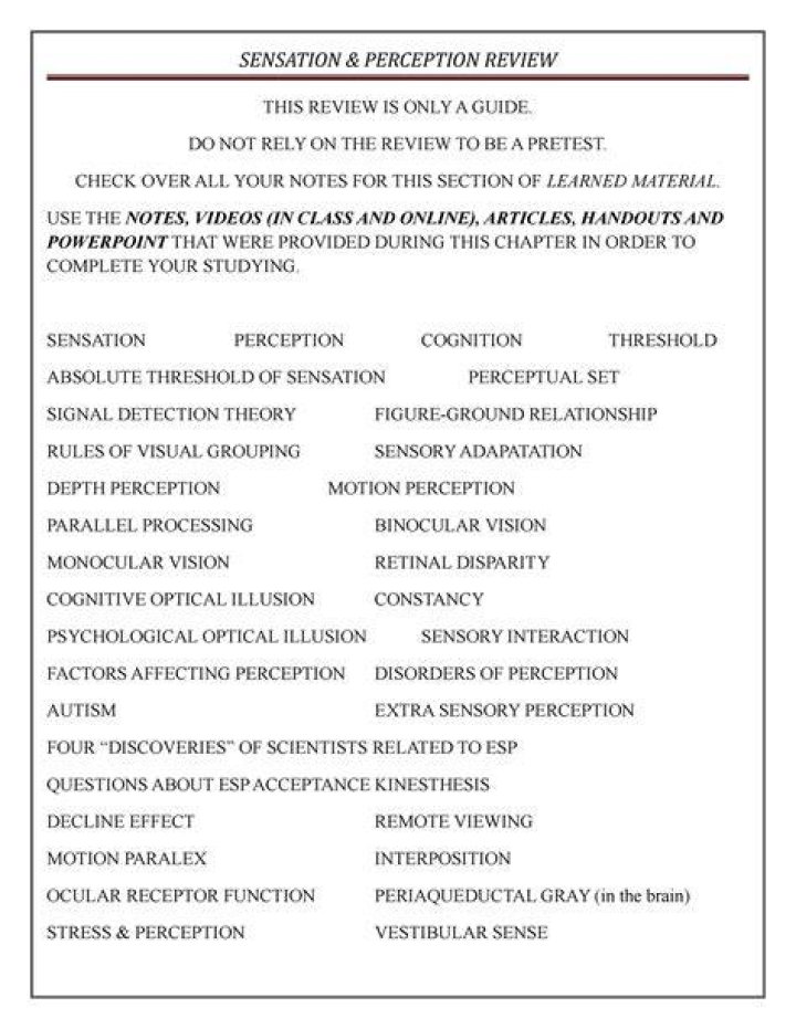 Perception Review