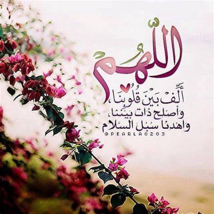 Pin on alhamdullilah