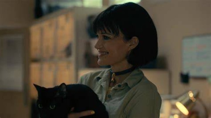 Pluto The Cat Means More Than You Likely Think