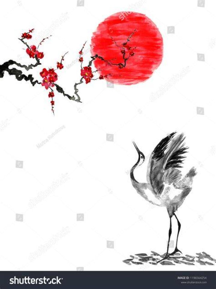Red Sun With Crane Bird Male Upper Chest Tattoo Ideas
