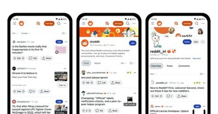 Screenshot from Reddit showing results from one subreddit from the main site search