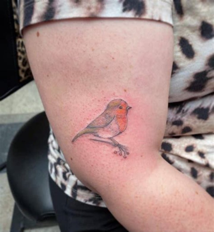 Small Bird Upperarm Tattoos Maaikes Skinart