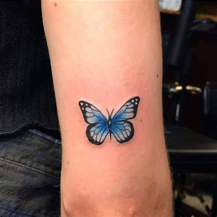 Small Blue Butterfly Tattoos isabelgruppoink
