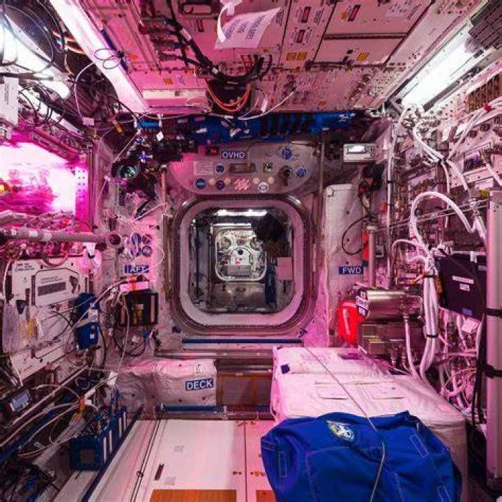 Space Sweepers lying on floor
