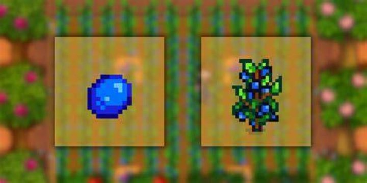 Stardew Valley Blueberry