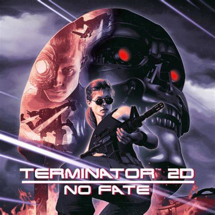 Terminator 2 - Game Boy: A Retrospective