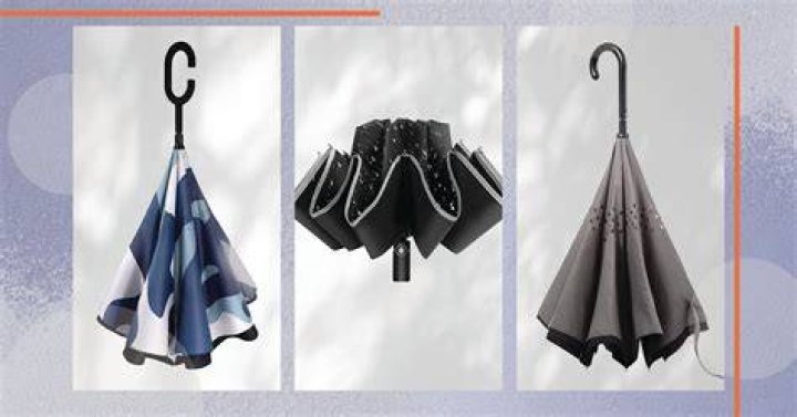 The 5 Best Inverted Umbrellas