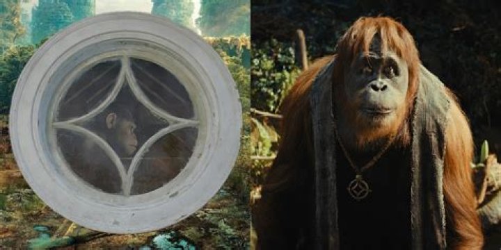 The Ending Of Run Explained