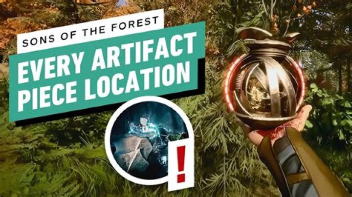 The forest looks okay until you start to look at the trees