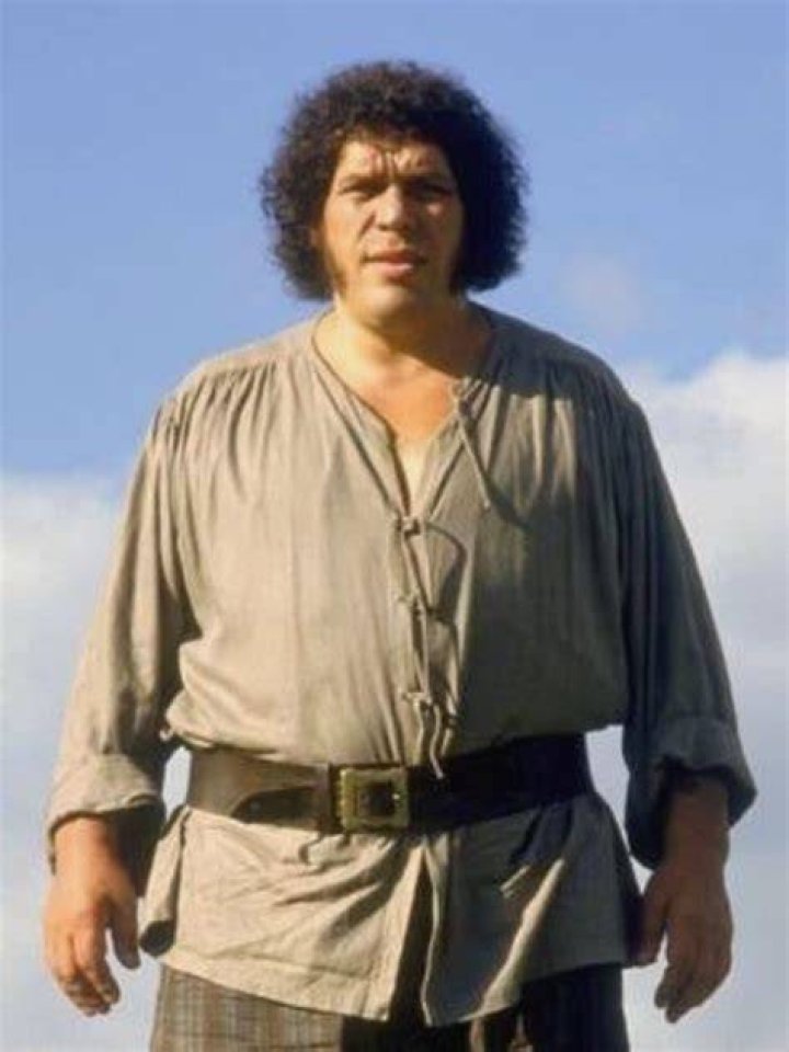 The Princess Bride Giant