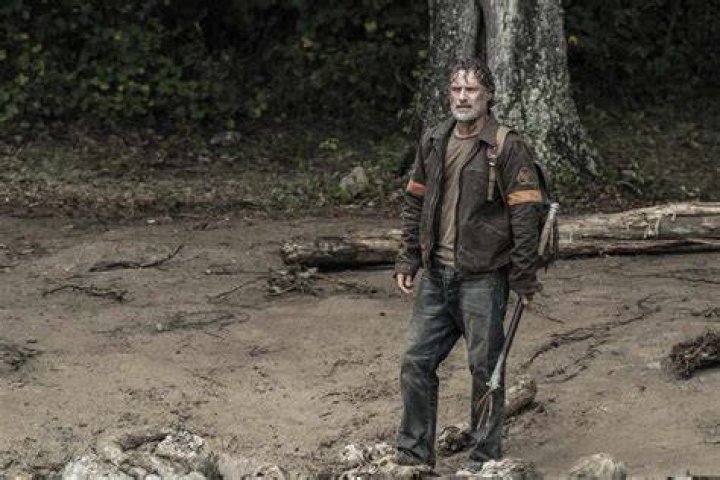 The Walking Dead After Michonne