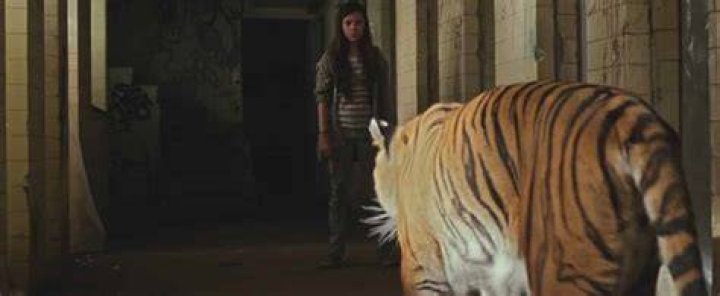 Tigers Are Not Afraid es la pel&iacute;cula de terror mejor calificada de 2019