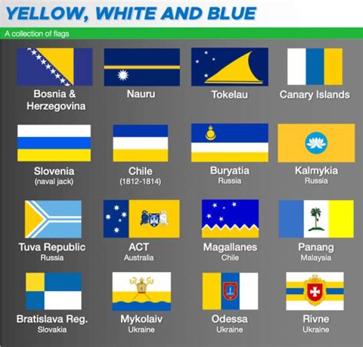 Understanding The Blue Flag Yellow Stripe: A Comprehensive Guide