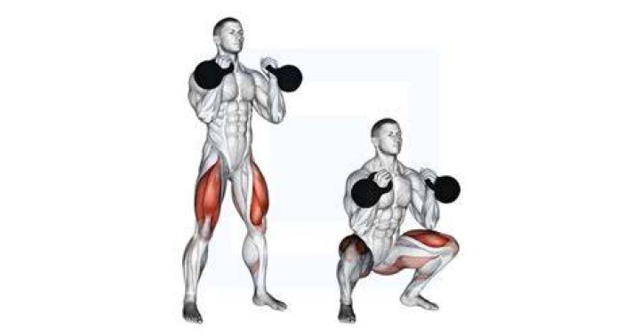 Weighted Squats Weighted Squats